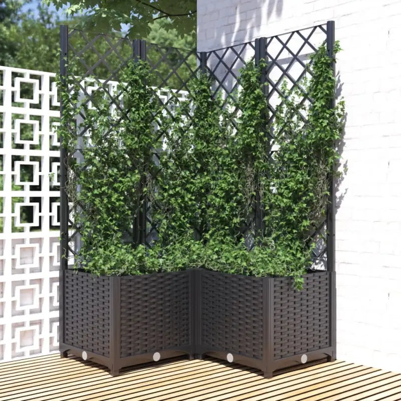 Bloempot met latwerk voor klimplanten in tuin of terras - Zwart / 80 x 80 x 136 cm / 1 - Bloempotten & plantenbakken