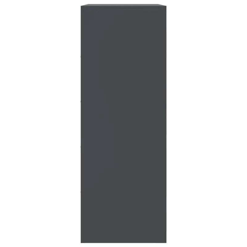 Dressoir met koudgewalst staal voor een trendy en praktische kameroptiek - Dressoirs & buffetkasten