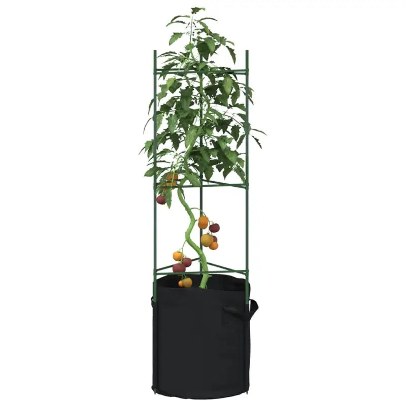 Duurzame verstelbare Tomatenkooi voor ondersteuning van planten - 116 cm / 4 / met zak - Plantenstandaarden