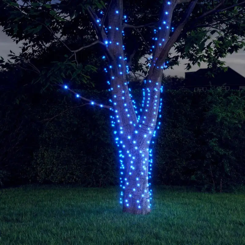 Energiebesparende LED Kerstverlichting met veel LEDs voor feestdagen - Blauw / 2 / 1 - Kerstverlichting