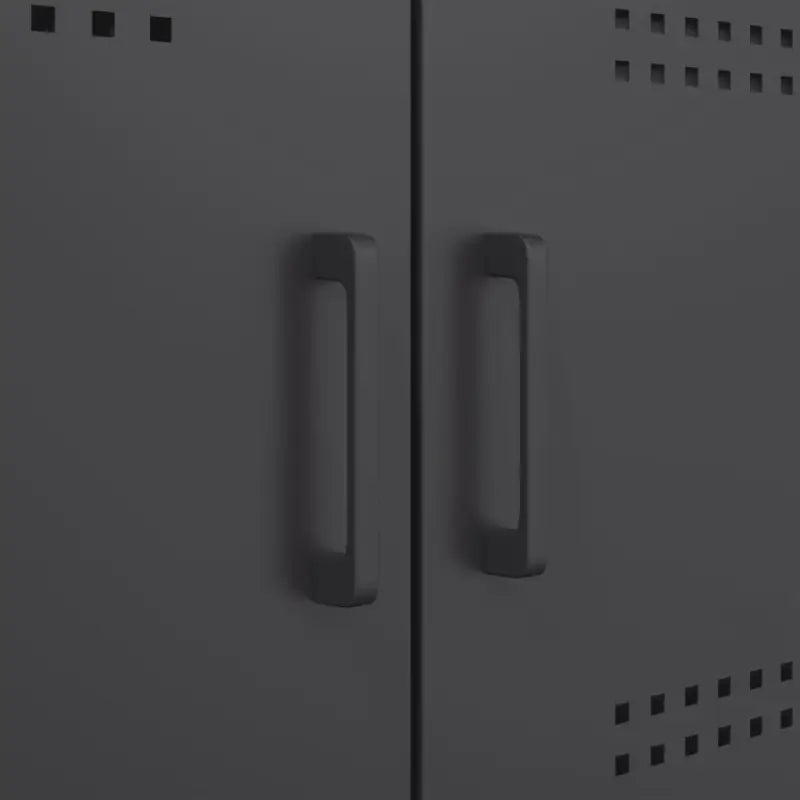 Hoge kast met industriële stijl voor woonkamer of slaapkamer - Dressoirs & buffetkasten