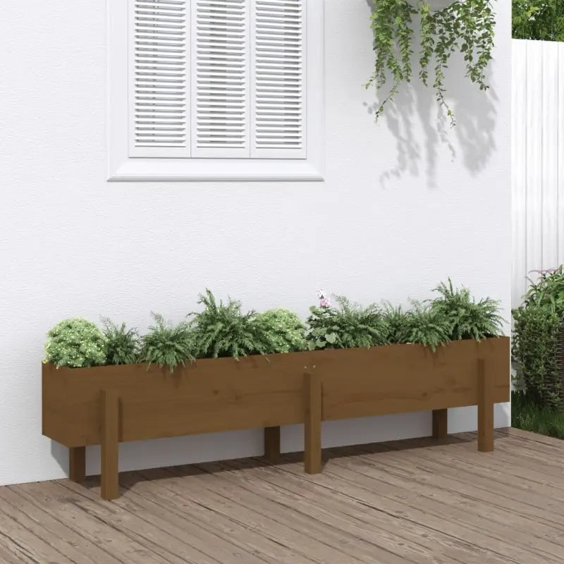 Houten plantenbak van massief grenenhout voor tuin en balkon - Honingbruin grenenhout / 160 x 30 x 38 cm / 1
