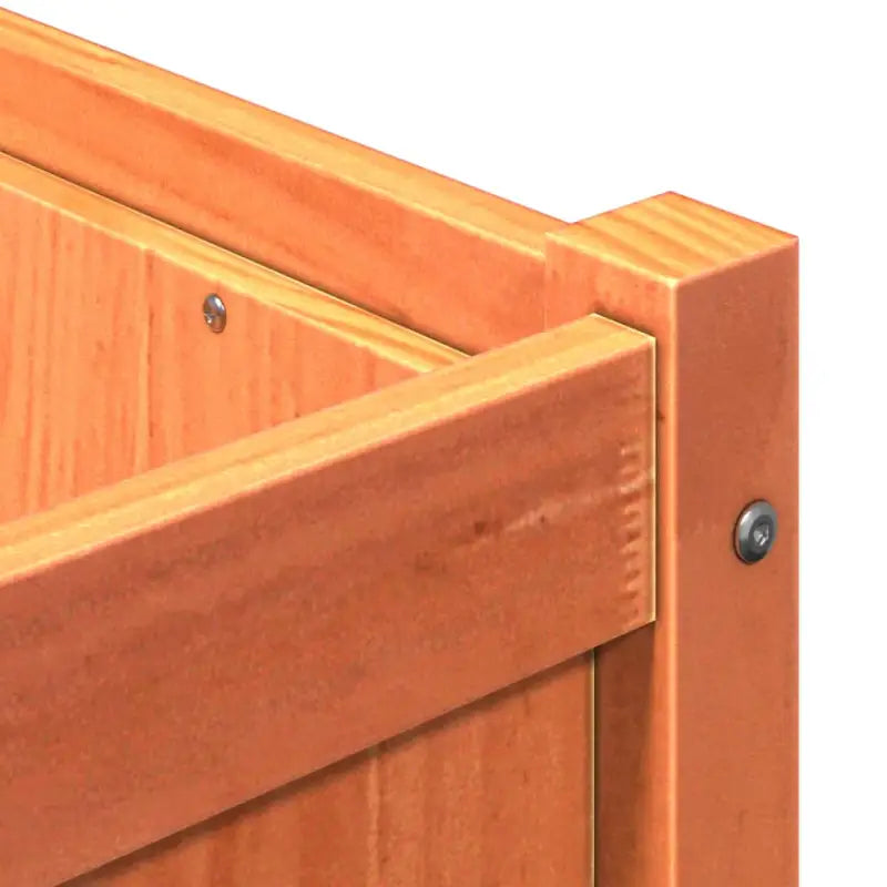 Houten plantenbak van massief grenenhout voor tuin en balkon - Bloempotten & plantenbakken