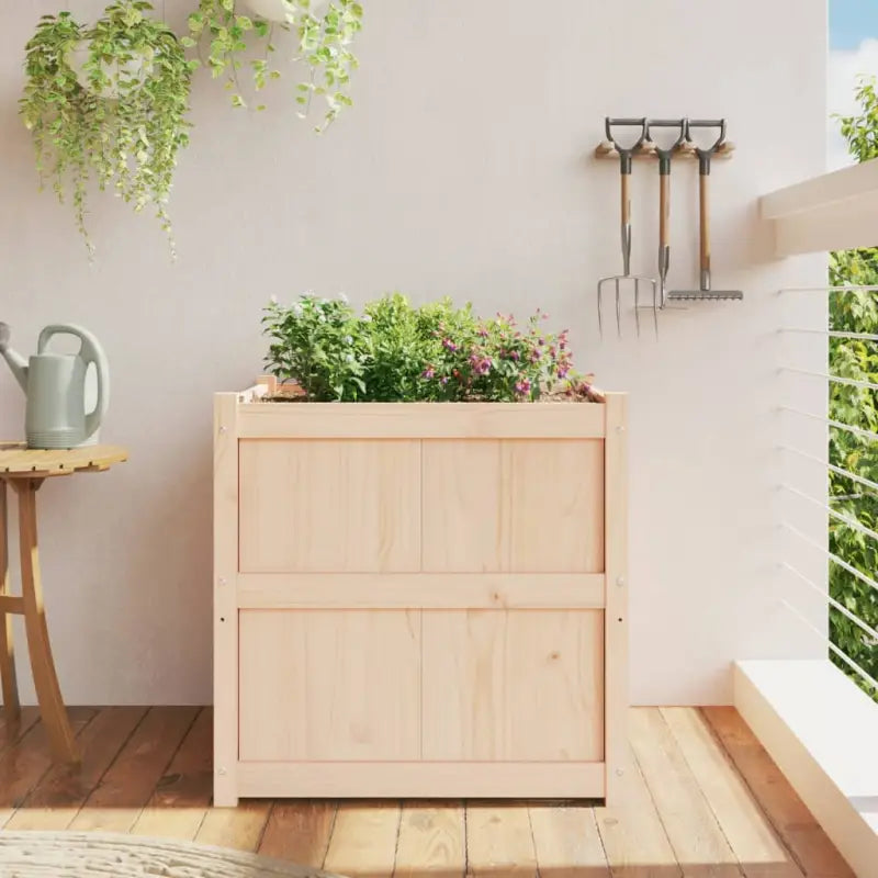 Houten plantenbak van massief grenenhout voor tuin en balkon - Bloempotten & plantenbakken