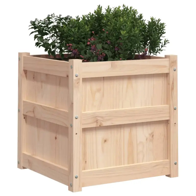 Houten plantenbakken van massief grenenhout voor tuin en balkon decoratie - Bloempotten & plantenbakken
