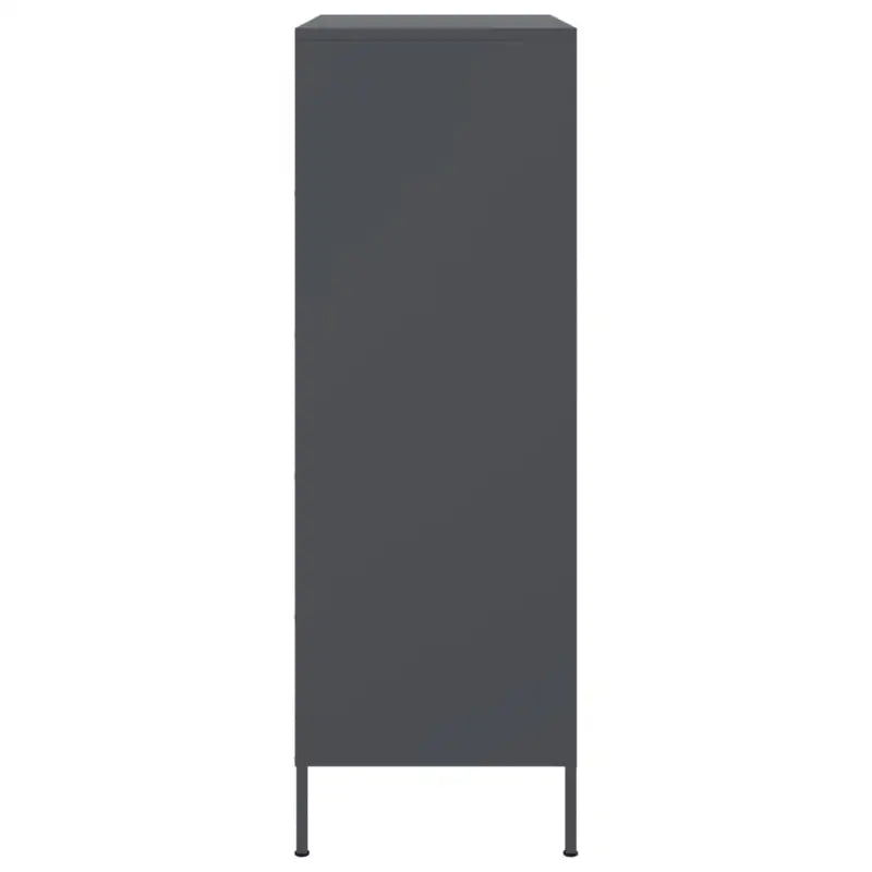 Industriële hoge kast voor woonkamer of slaapkamer duurzame stijl - Dressoirs & buffetkasten