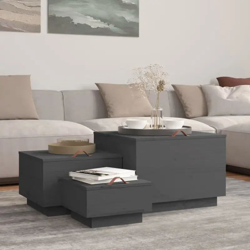 Massief grenenhout opbergboxen voor grote en kleine opbergboxen - Grijs / 3 - Opbergkasten & lockerkasten