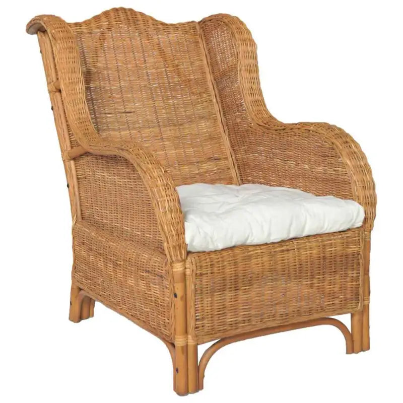 Natuurlijk Rattan Banken - Elegante en eenvoudige fauteuil voor elke ruimte - Lichtbruin / 1-zits - Banken