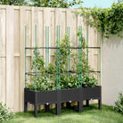 Plantenbak met latwerk voor klimplanten in tuin of terras - Zwart / 120 x 40 x 142.5 cm / 1 - Bloempotten &