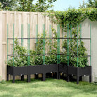 Plantenbak met latwerk voor klimplanten in tuin of terras - Zwart / 160 x 120 x 142.5 cm / 1 - Bloempotten &