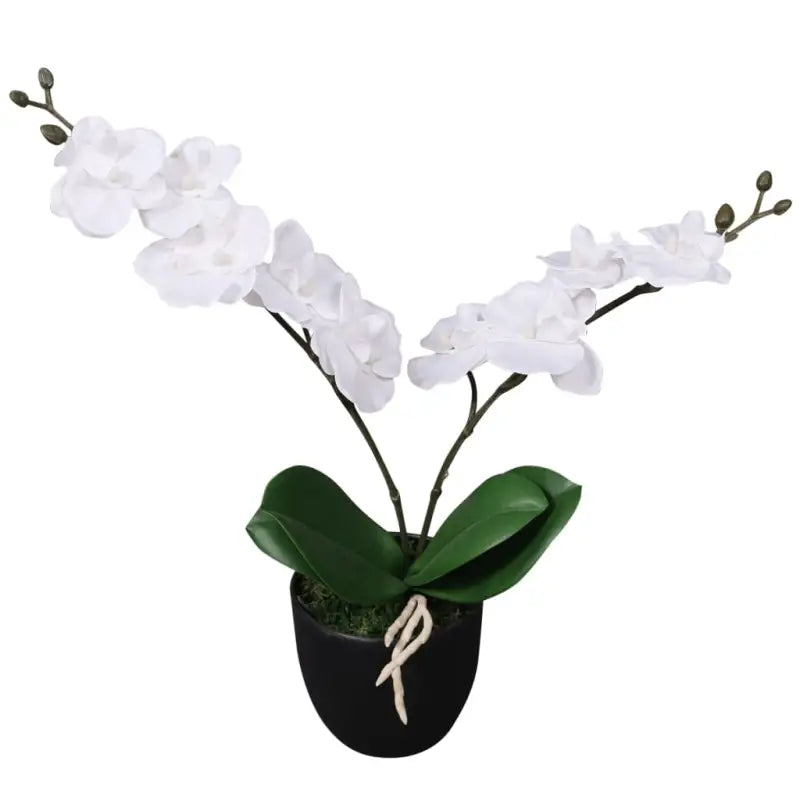 Realistische orchidee kunstplant voor een groene touch in huis of kantoor - Wit / 30 cm / 1 - Kunstplanten