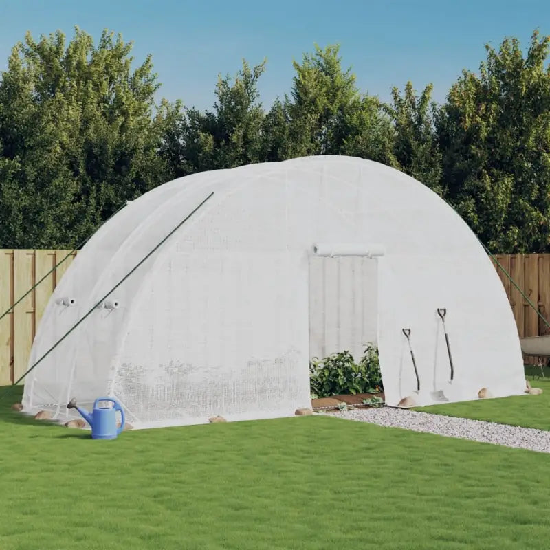 Spacious Greenhouse for Vegetables and Plants in Sustainable