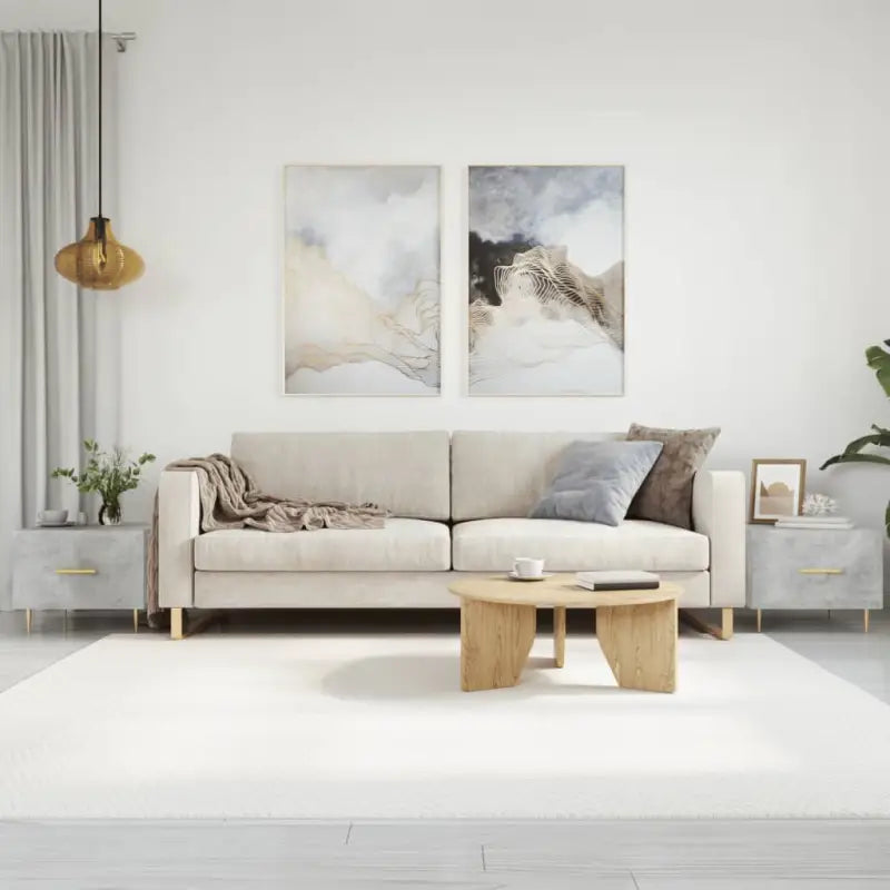 Salontafel met grijs Sonoma Eiken en ijzeren poten voor elegante woonkamer - Betongrijs / 2 - Salontafels