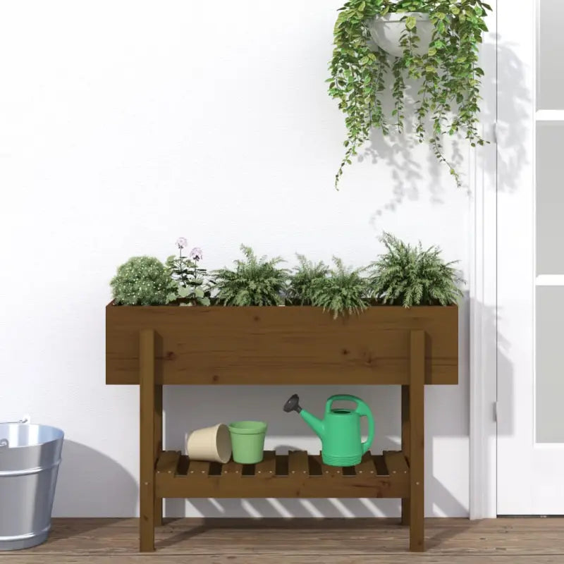 Verhoogde plantenbak van massief douglashout voor tuin en balkon - Honingbruin grenenhout / 101 x 30 x 69 cm / 1
