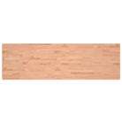 Werkbank met massief beukenhout en groot werkgebied voor doe-het-zelf projecten - Werkbanken