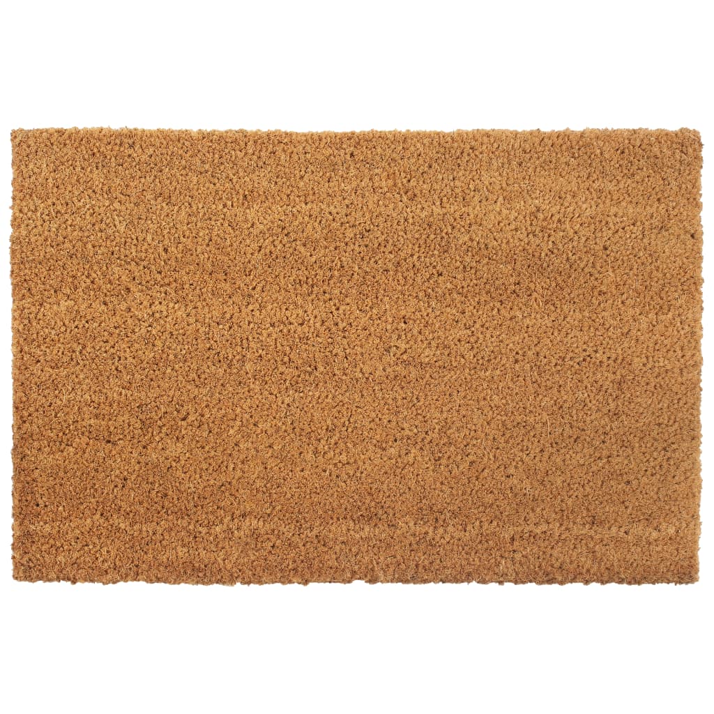 vidaXL Deurmatten 17 mm 50x80 cm kokosvezel natuurlijk 2 st
