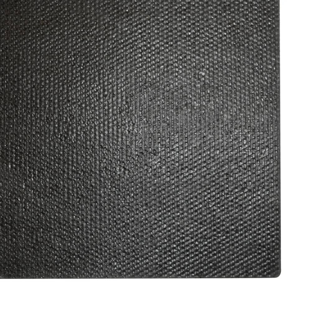 vidaXL Deurmatten 17 mm 50x80 cm kokosvezel natuurlijk 2 st