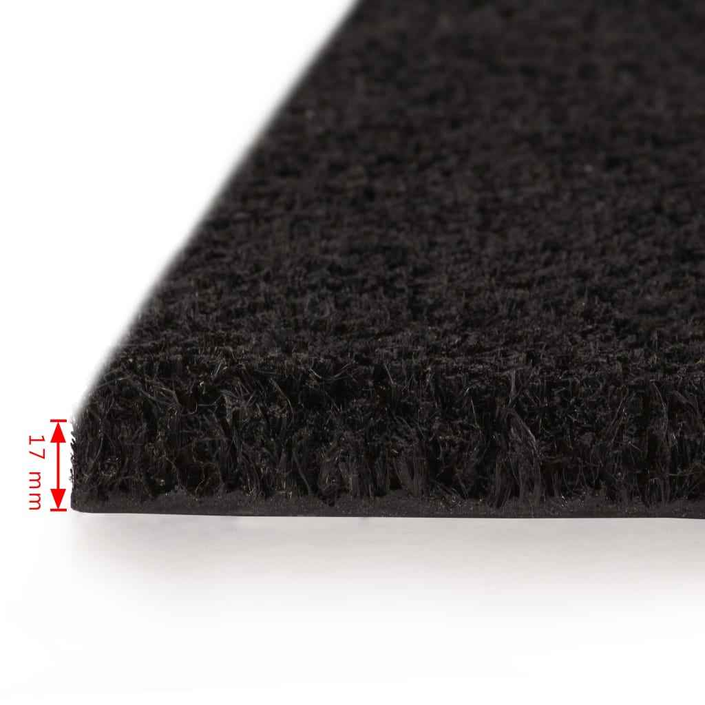 vidaXL Deurmat 17 mm 100x200 cm kokosvezel zwart