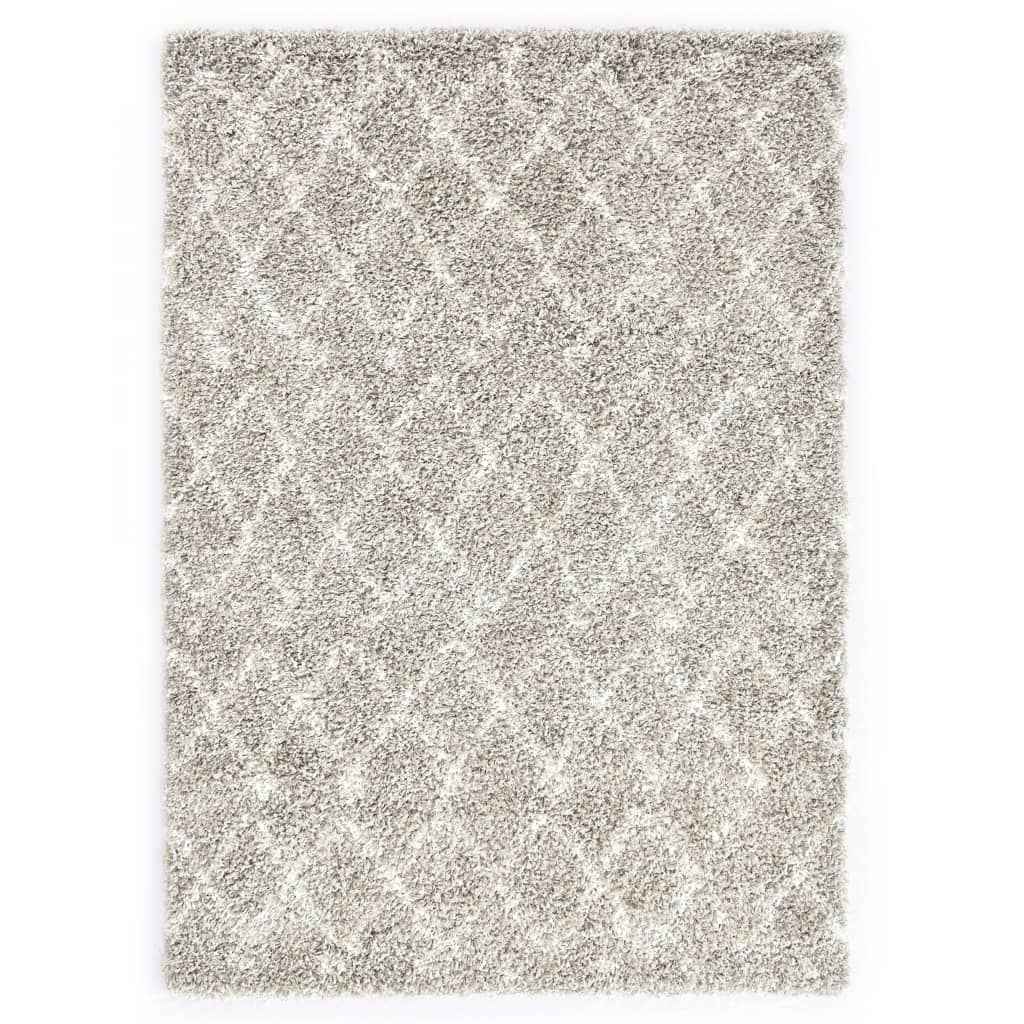 vidaXL Tapijt Berber shaggy hoogpolig 120x170 cm PP zandkleurig beige