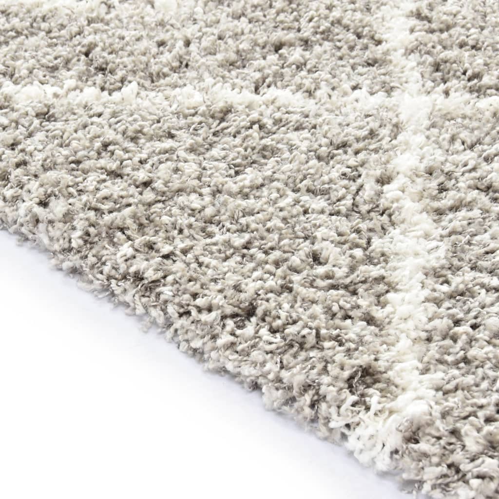 vidaXL Tapijt Berber shaggy hoogpolig 160x230 cm PP zandkleurig beige