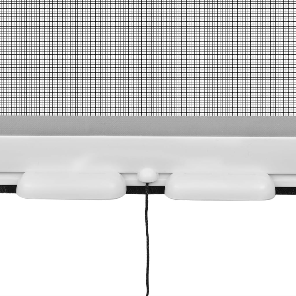 Rolhor voor ramen wit 100 x 170 cm