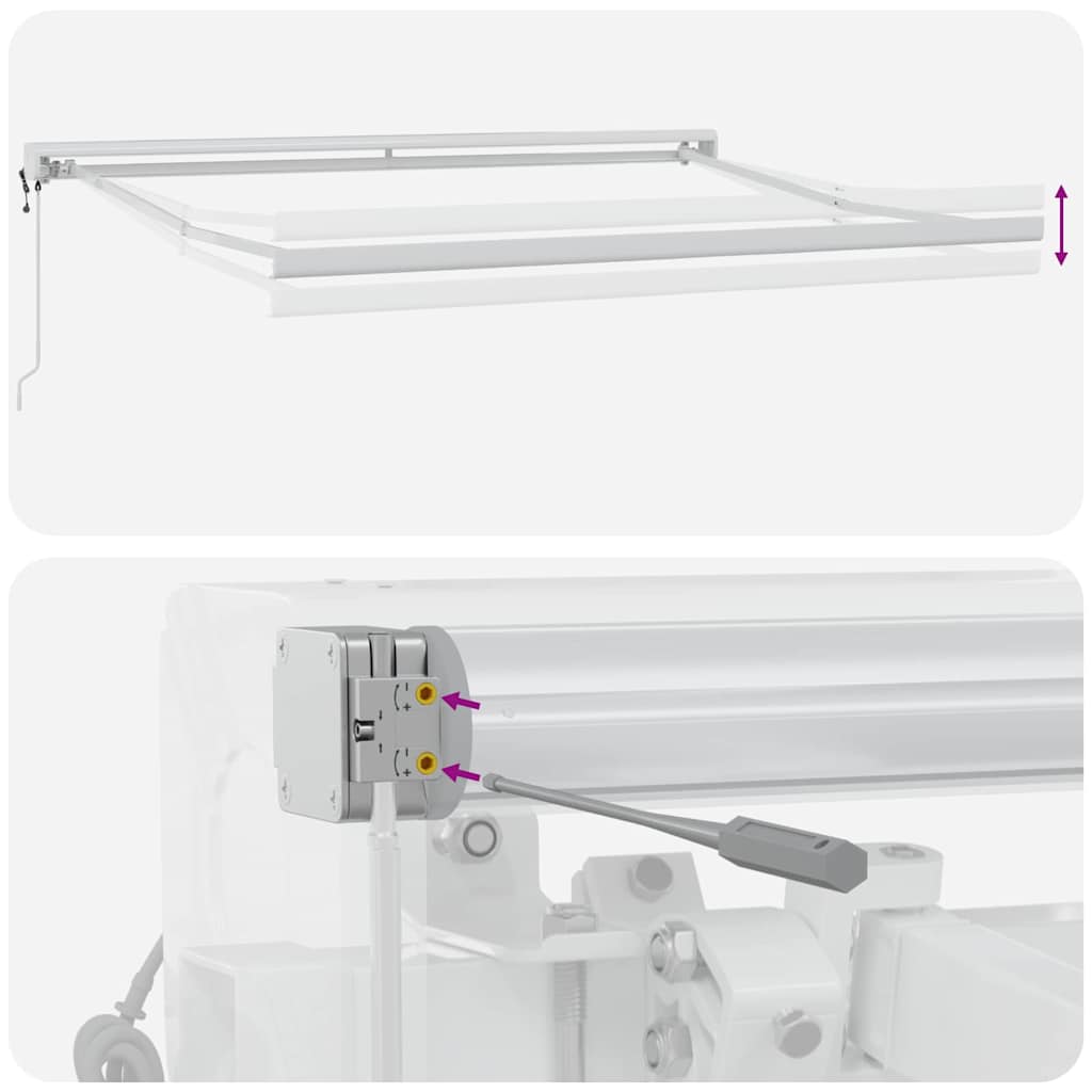 Markies Wit 3 x 2,5 m Metaal