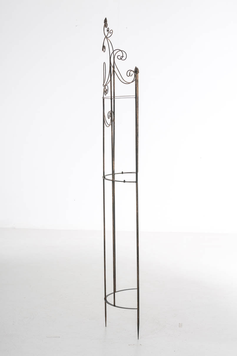 Plantenklimrek Lavendel bronzen bronze