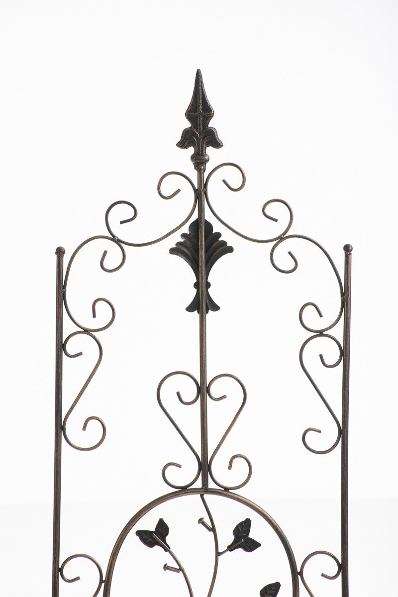 Klimplantenhulp  Burgus bronzen bronze