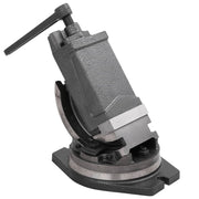 vidaXL Bankschroef met 2 assen kantelbaar 100 mm