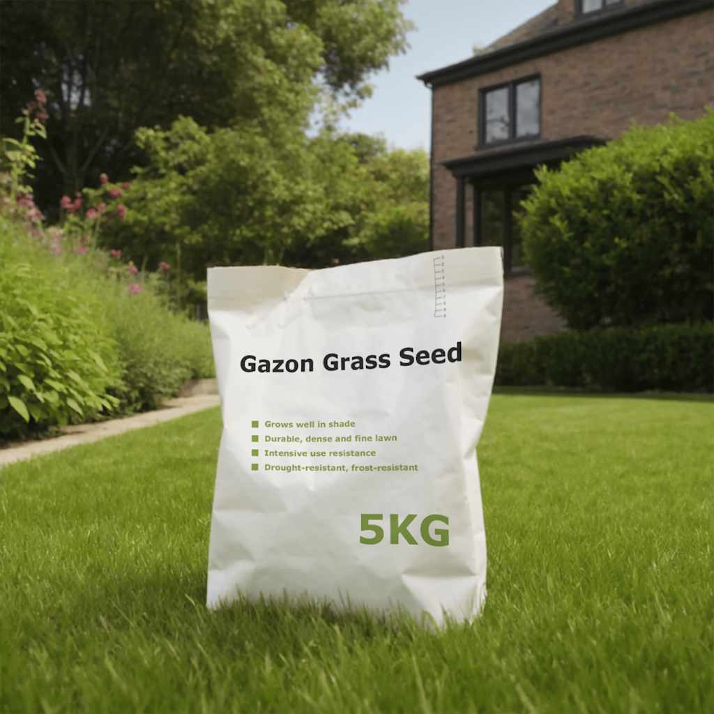 vidaXL Graszaad 10 kg