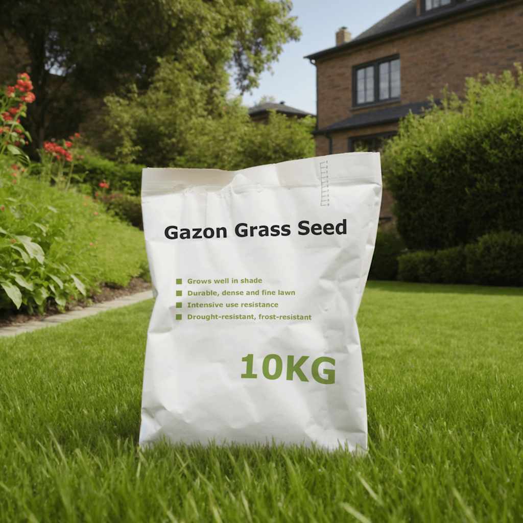 vidaXL Graszaad 10 kg