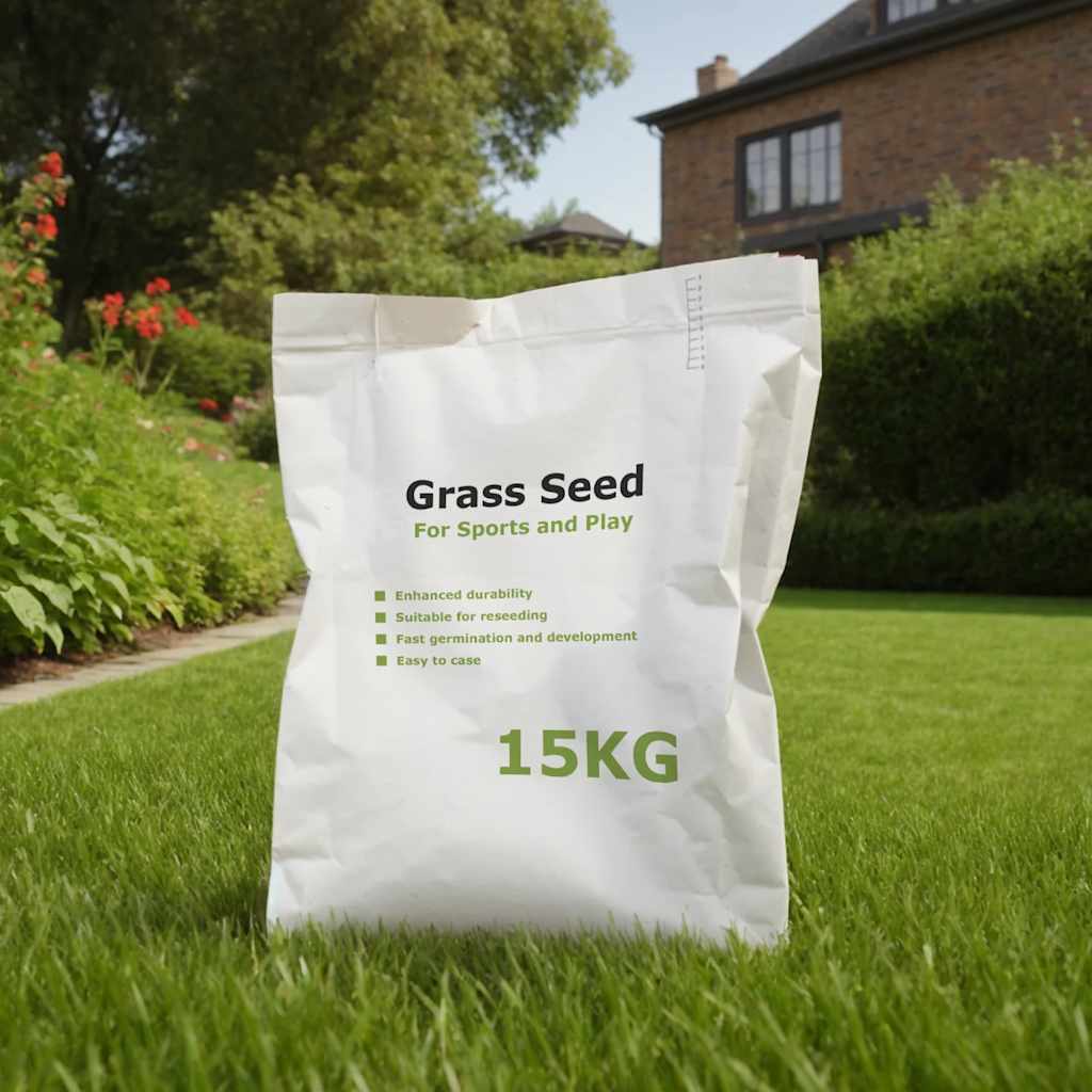 vidaXL Graszaad 10 kg