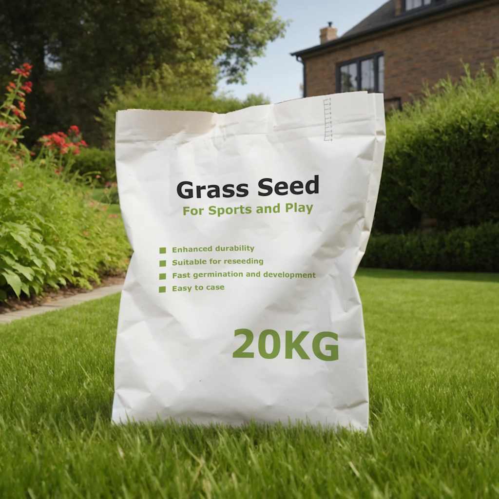 vidaXL Graszaad 10 kg