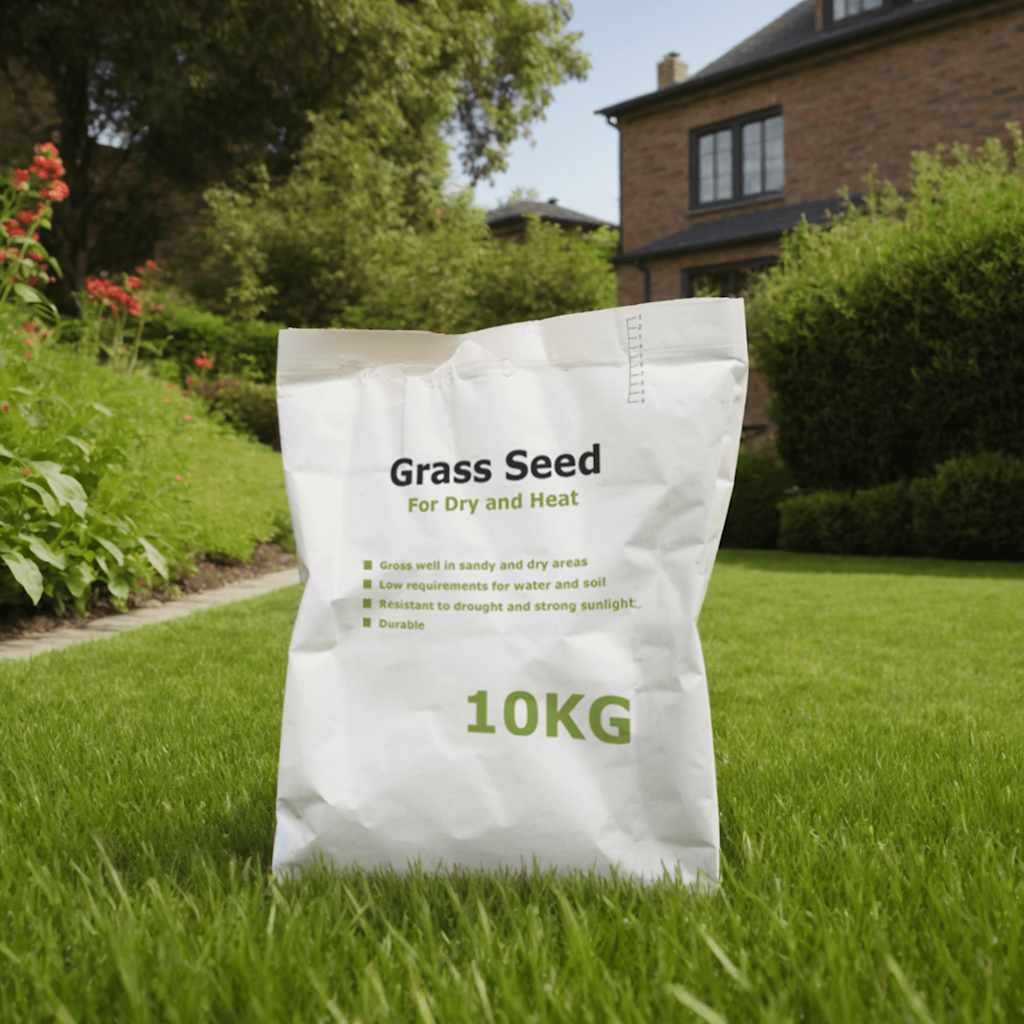vidaXL Graszaad 10 kg