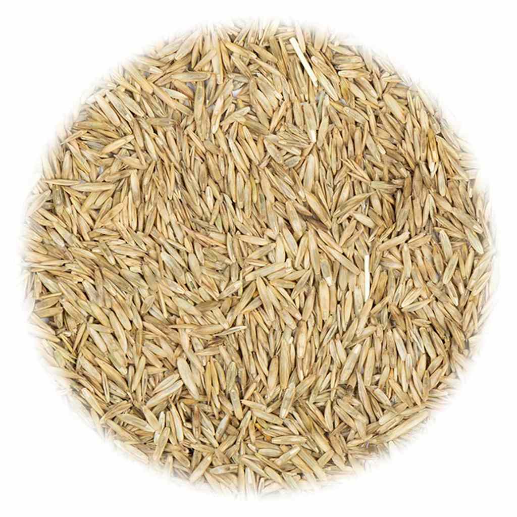 vidaXL Graszaad 10 kg