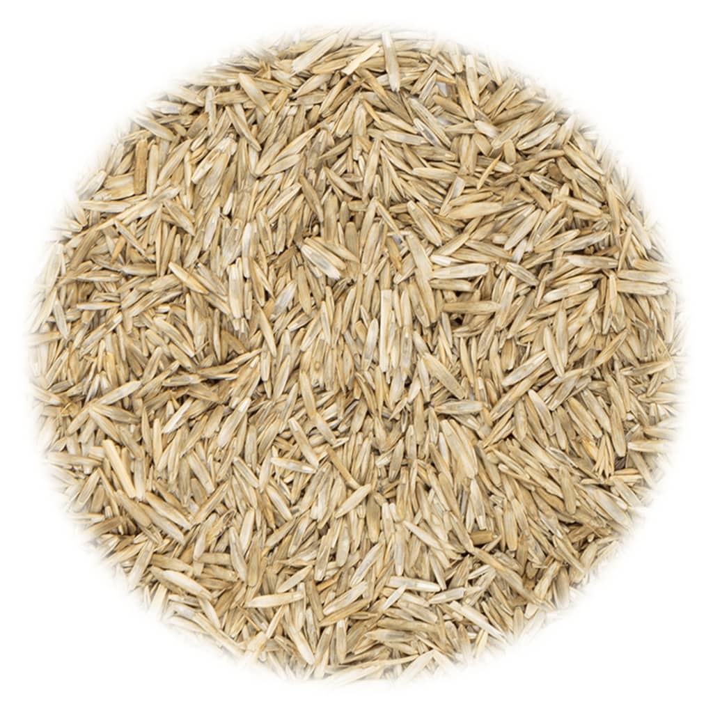 vidaXL Graszaad voor akker en weiland 10 kg