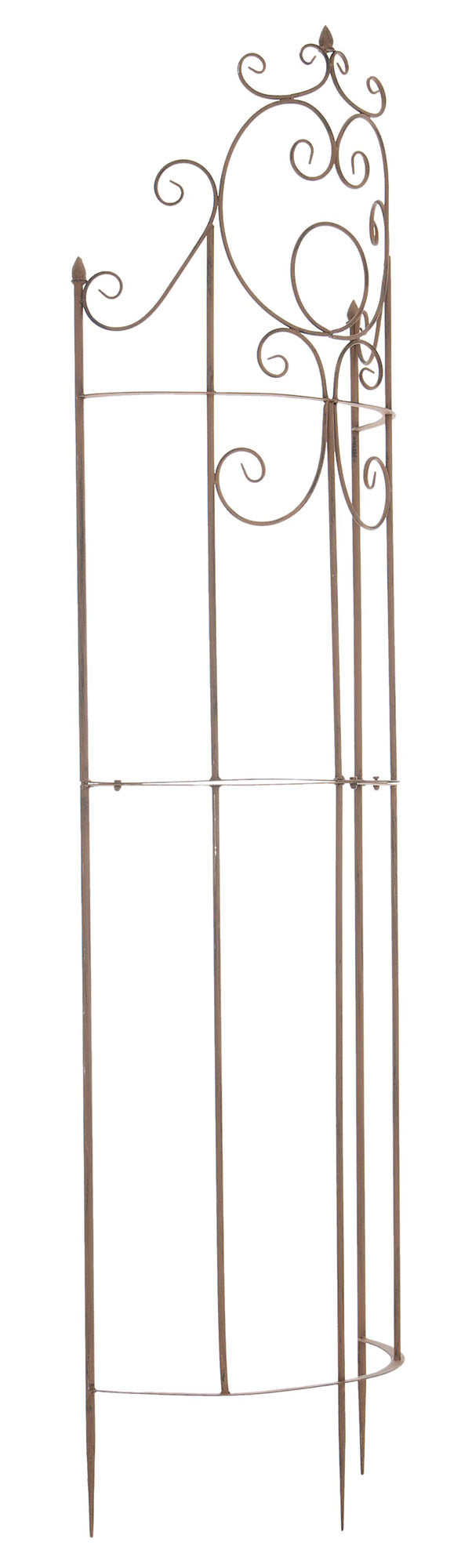 Plantenklimrek Lavendel antiek bruin antik braun