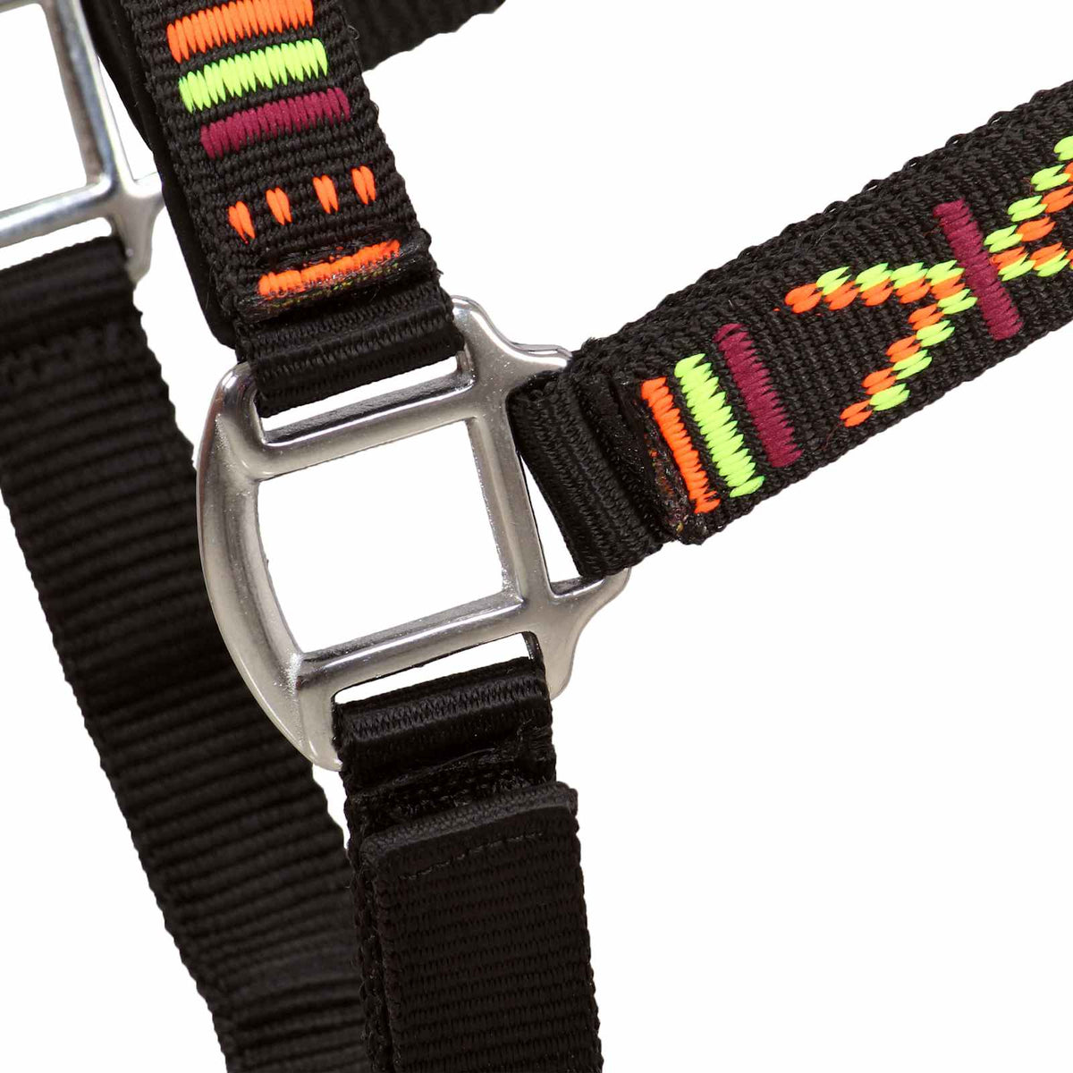 vidaXL Hoofdstellen voor paard maat cob nylon blauw 2 st