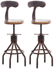 Set van 2 barkrukken Hanam bronzen bronze