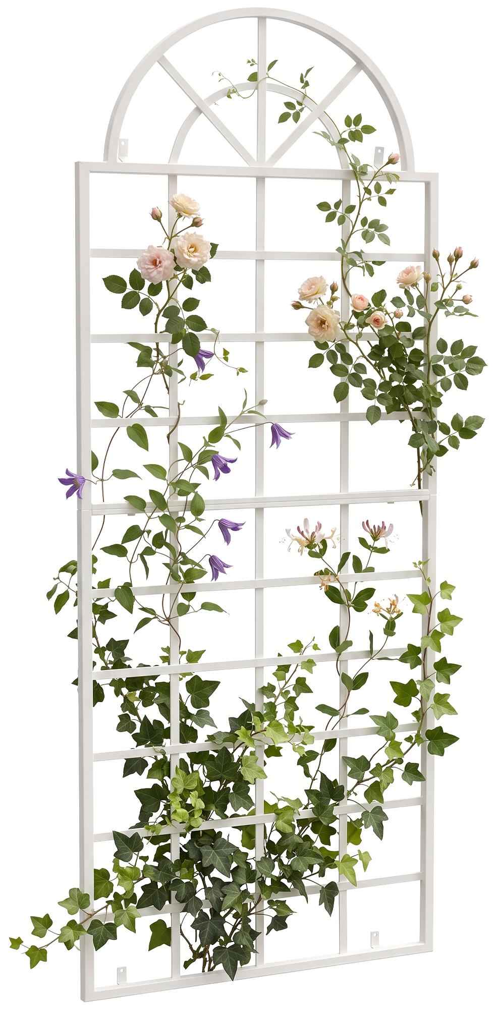 Plantenrek Viva voor aan de muur wit weiß
