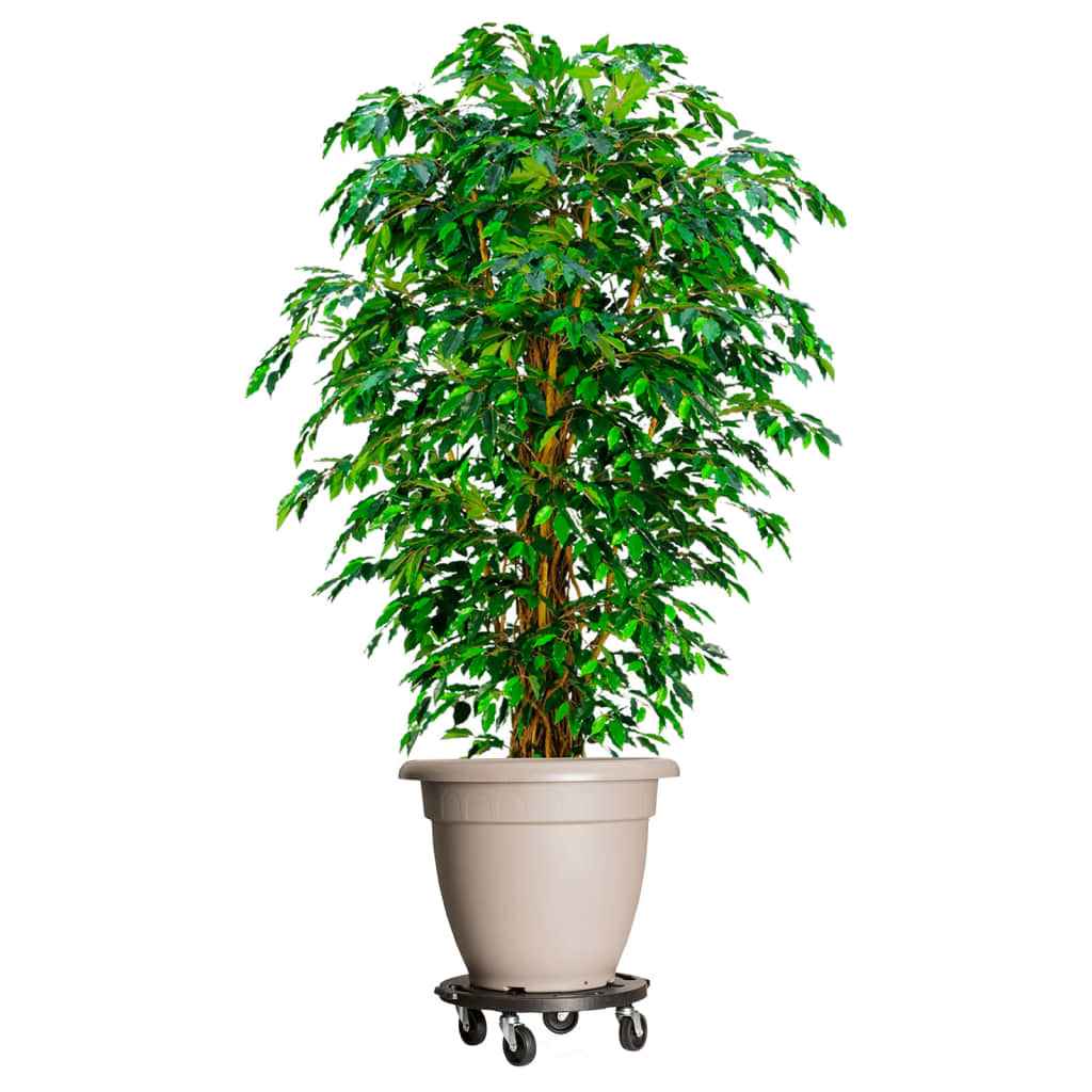 vidaXL Plantentrolley met wielen 275 kg diameter 40 cm zwart