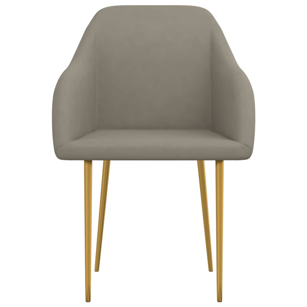 vidaXL Eetkamerstoelen 2 st fluweel lichtgrijs