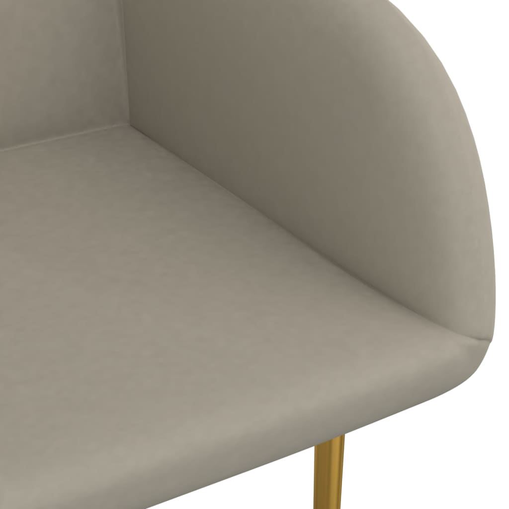 vidaXL Eetkamerstoelen 2 st fluweel lichtgrijs