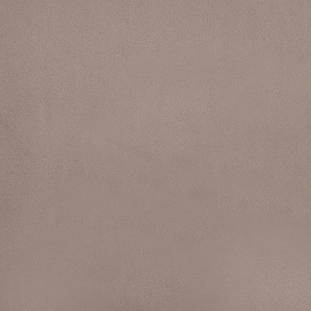 vidaXL Eetkamerstoelen 2 st fluweel lichtgrijs