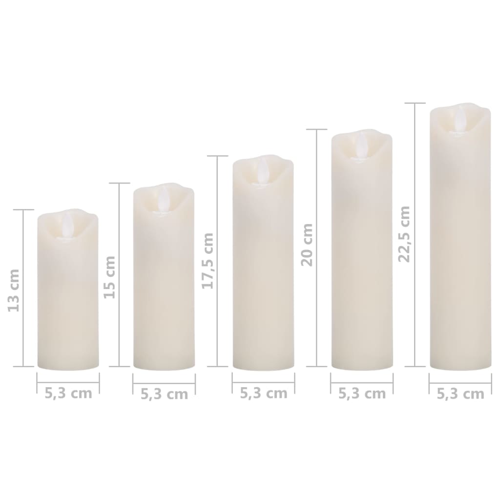 vidaXL 5-delige Kaarsenset met afstandsbediening LED warmwit
