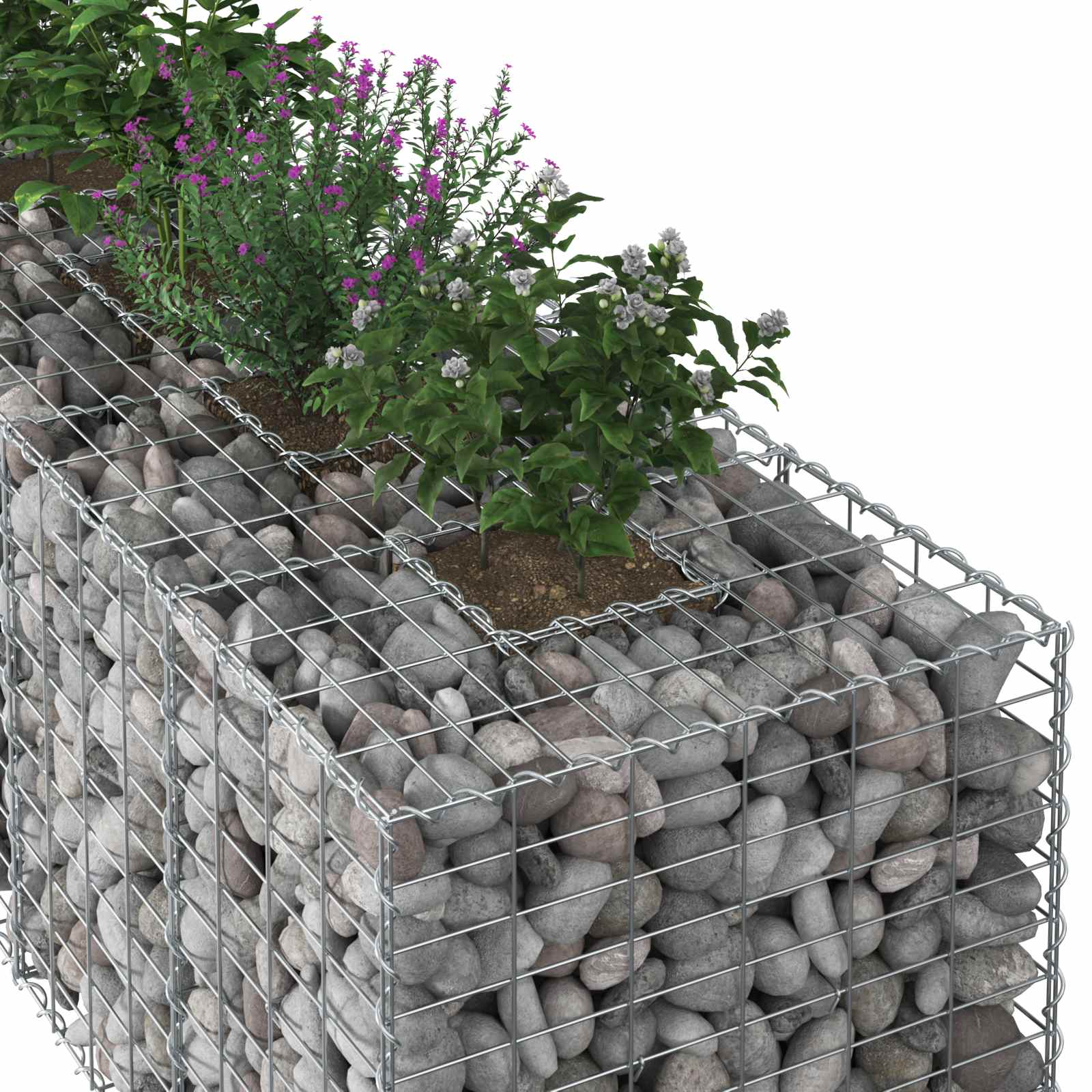 vidaXL Gabion Verhoogd Bed 2 pcs Zilver 260 x 60 x 55 cm