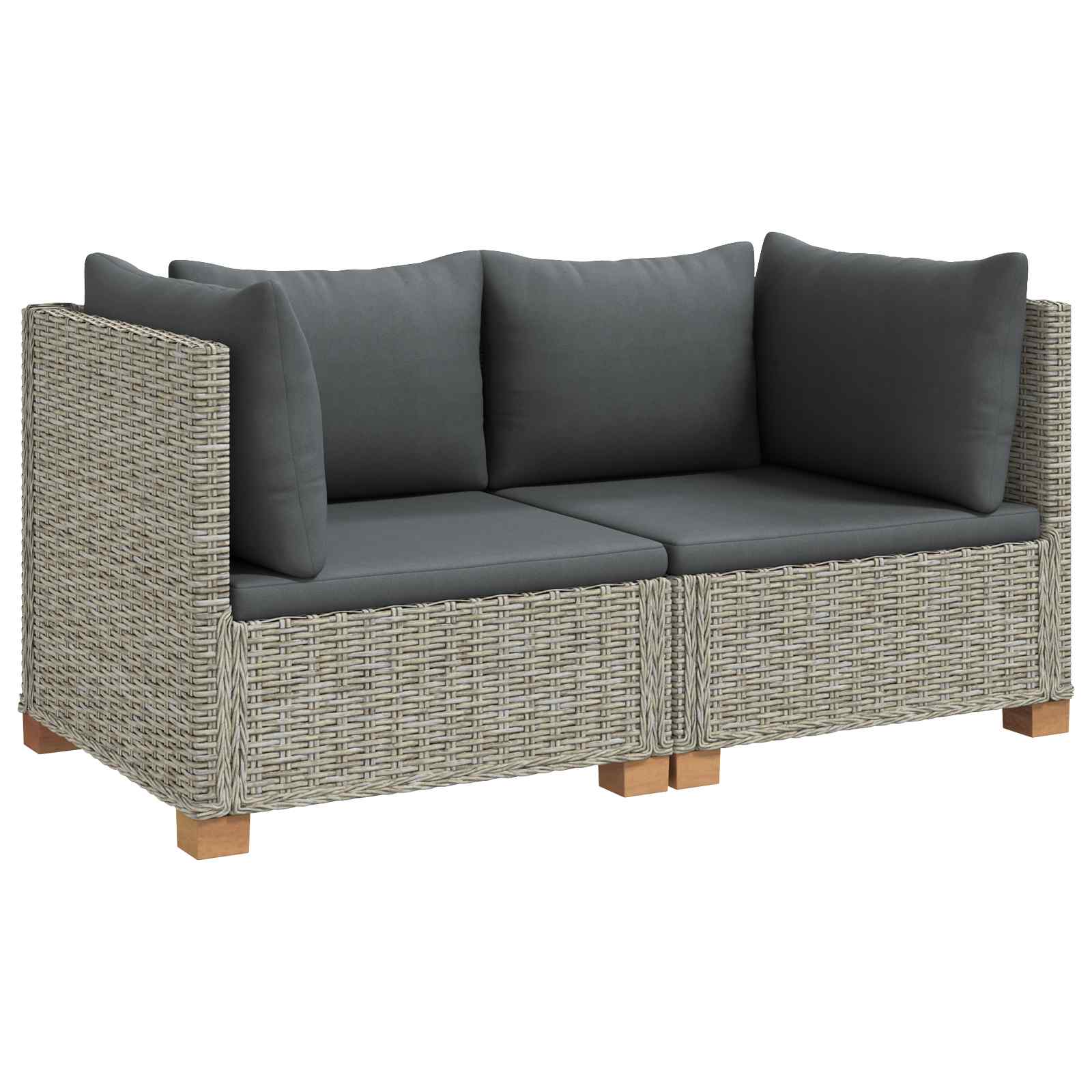 vidaXL 2 st Rieten Loungeset met Kussens GENDT Natuurlijk rattan