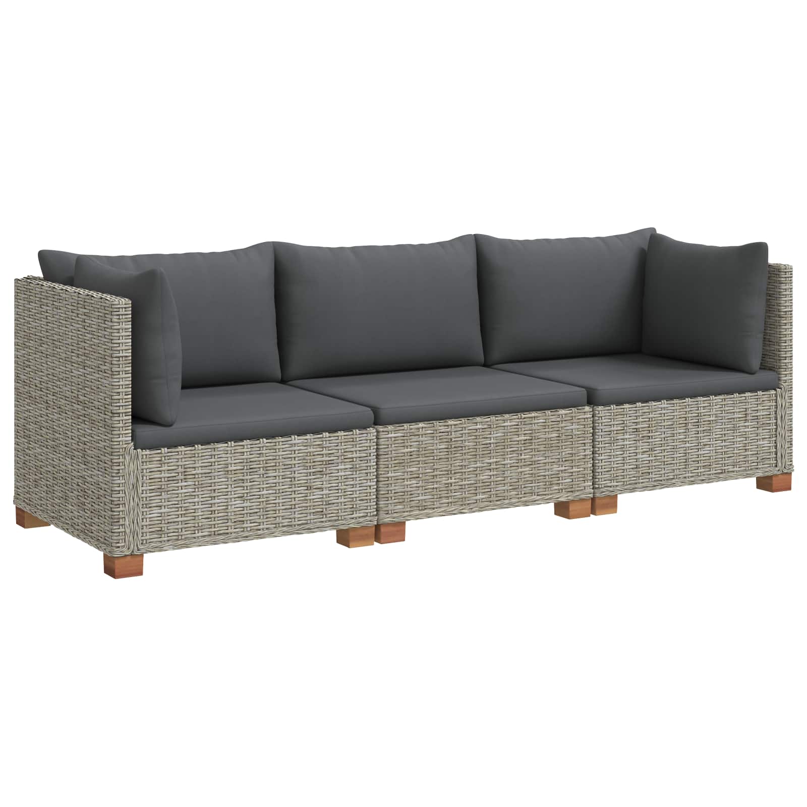 vidaXL 3 st Rieten Loungeset met Kussens GENDT Natuurlijk rattan