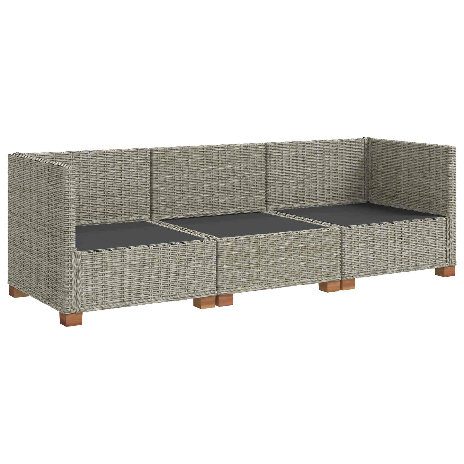 vidaXL 3 st Rieten Loungeset met Kussens GENDT Natuurlijk rattan