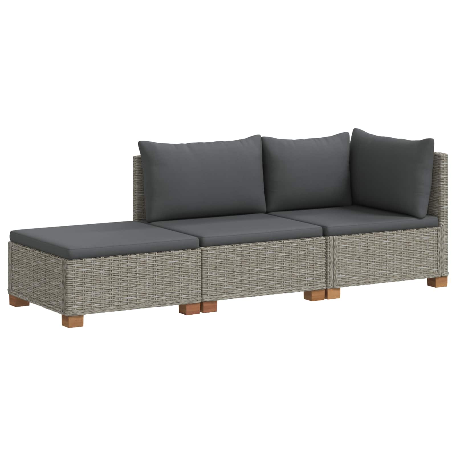 vidaXL 3 st Rieten Loungeset met Kussens GENDT Natuurlijk rattan